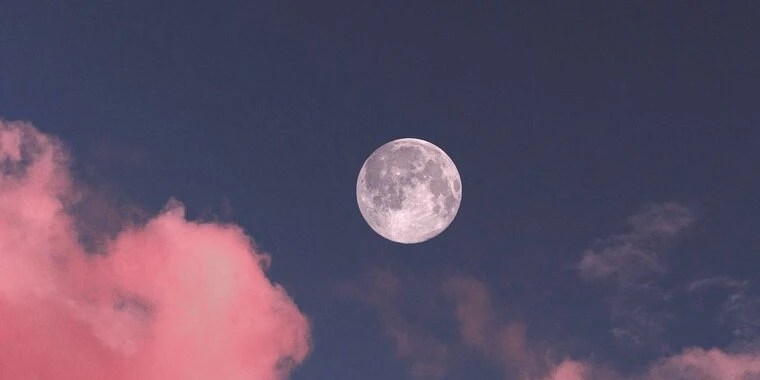 Havoc Rayne OnlyFans | @havocrayne review (Leaks, Videos, Nudes)