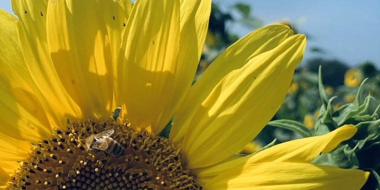 Alley.Kat OnlyFans | @hbick review (Leaks, Videos, Nudes)