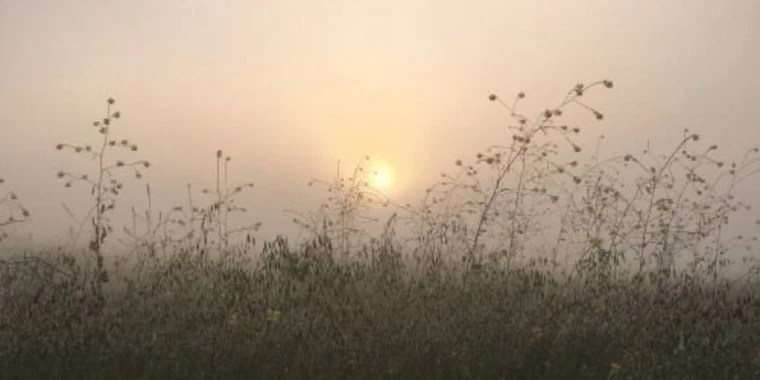 tea OnlyFans | @hnykitea review (Leaks, Videos, Nudes)