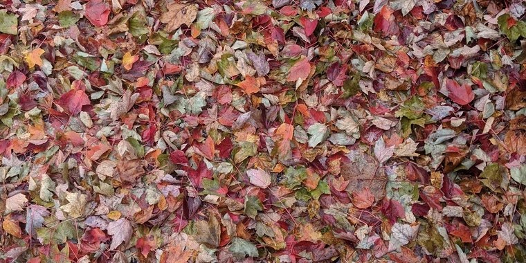 Illuxx OnlyFans | @illuxx review (Leaks, Videos, Nudes)