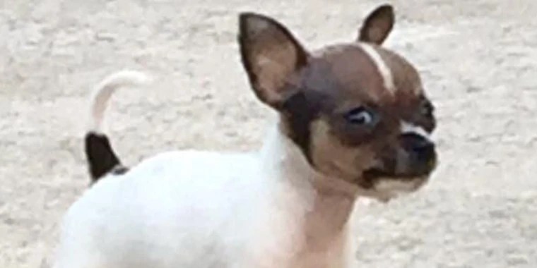 Jace Chambers OnlyFans | @jacechambersxxx review (Leaks, Videos, Nudes)