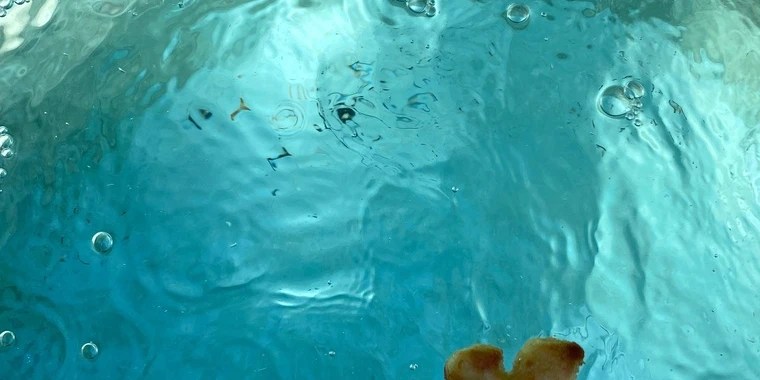 Jacquie lee OnlyFans | @jacquielee review (Leaks, Videos, Nudes)