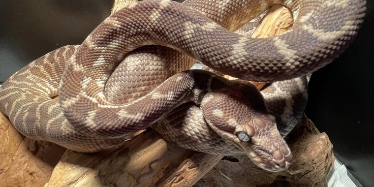 Jake OnlyFans | @jakeriley305 review (Leaks, Videos, Nudes)