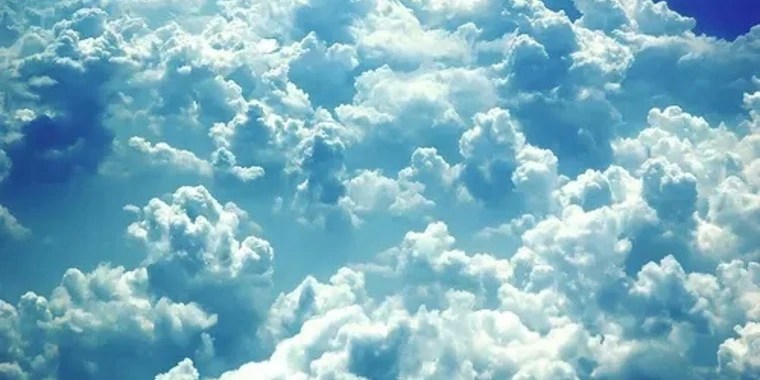 Jaylen OnlyFans | @jay_theeggplant review (Leaks, Videos, Nudes)