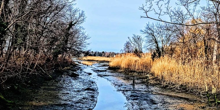 Joshua Block OnlyFans | @joshuablock2001 review (Leaks, Videos, Nudes)