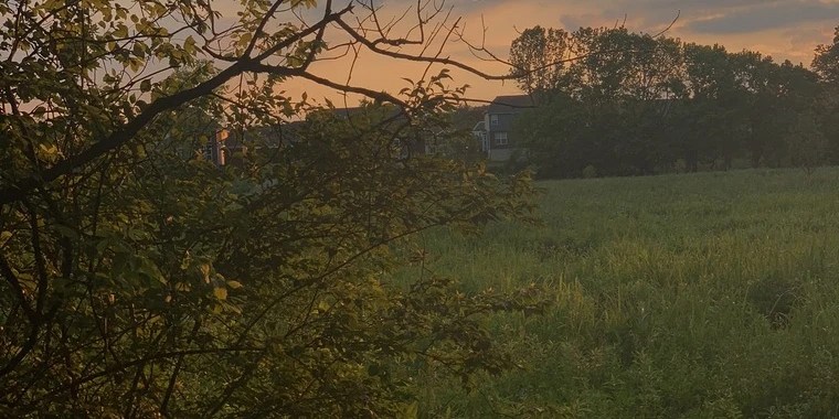 Jules OnlyFans | @julesgembby review (Leaks, Videos, Nudes)