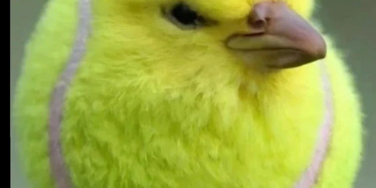 Justin Bets OnlyFans | @justinbets review (Leaks, Videos, Nudes)