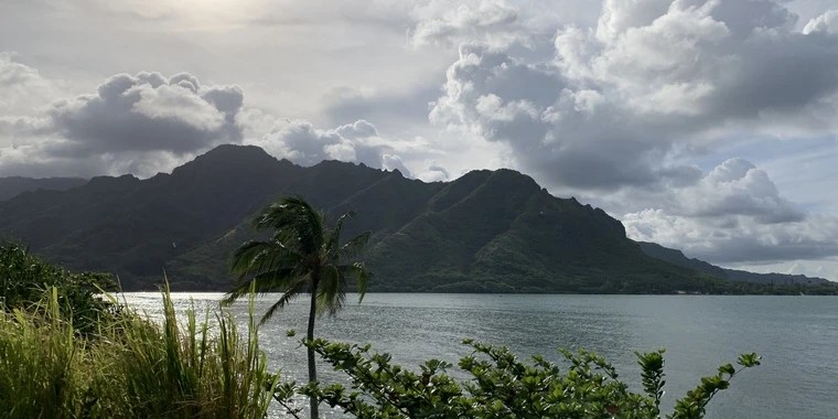 Kailani Moana OnlyFans | @kailanimoana89 review (Leaks, Videos, Nudes)