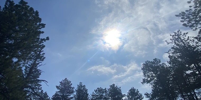 Kali Cakes Free OnlyFans | @kalicakesfree review (Leaks, Videos, Nudes)