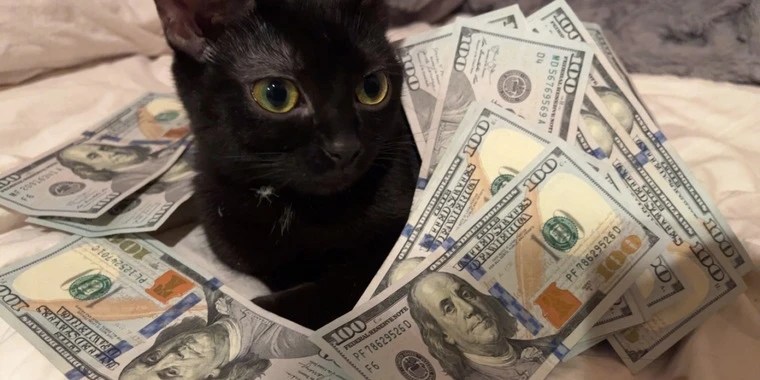 Katana OnlyFans | @katanaspole review (Leaks, Videos, Nudes)