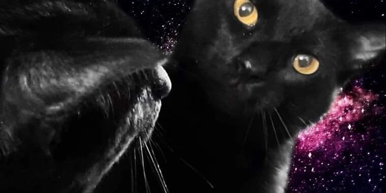 Rin OnlyFans | @katthegat review (Leaks, Videos, Nudes)