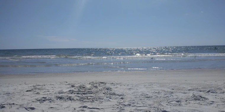 Kendra Beach OnlyFans | @kendrabeach review (Leaks, Videos, Nudes)