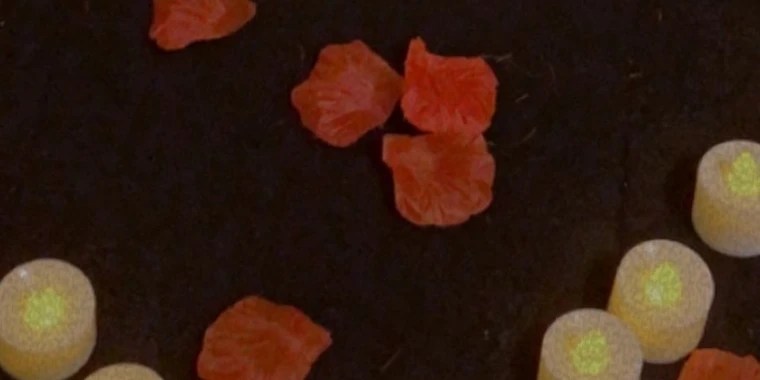 Khole OnlyFans | @kholebabi24 review (Leaks, Videos, Nudes)