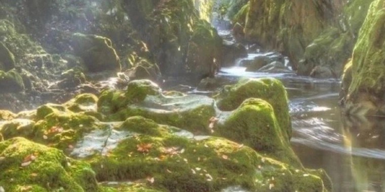 Fae OnlyFans | @kissing_fae review (Leaks, Videos, Nudes)