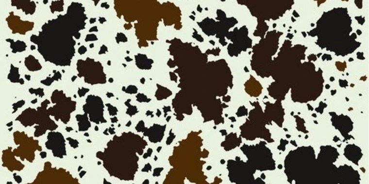 kwiz 18+ OnlyFans | @kwiznomore review (Leaks, Videos, Nudes)