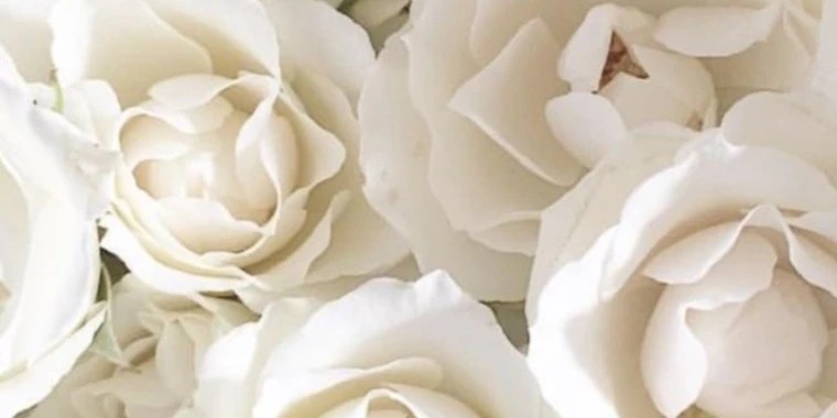 Darla OnlyFans | @ladydarla review (Leaks, Videos, Nudes)