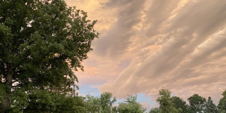 Lavender Baby OnlyFans | @lav-enderbaby review (Leaks, Videos, Nudes)