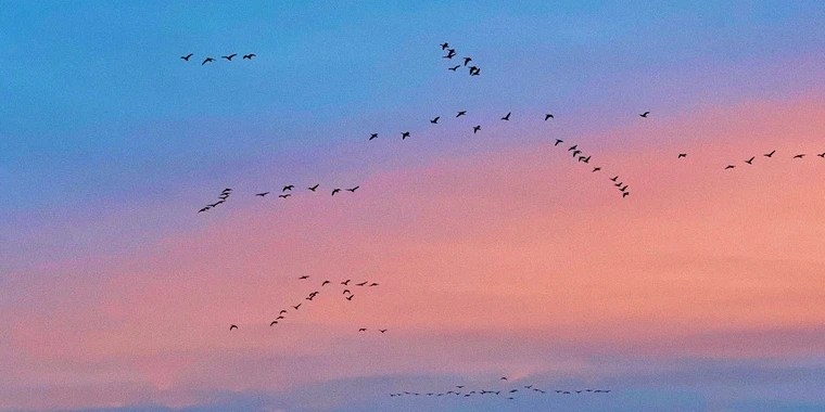 lilrach OnlyFans | @lilrach review (Leaks, Videos, Nudes)