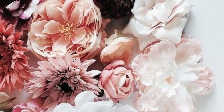 Linda Melisa OnlyFans | @lindamelisa review (Leaks, Videos, Nudes)