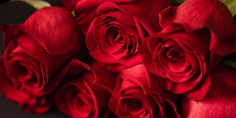 Lori OnlyFans | @lorip.ig review (Leaks, Videos, Nudes)