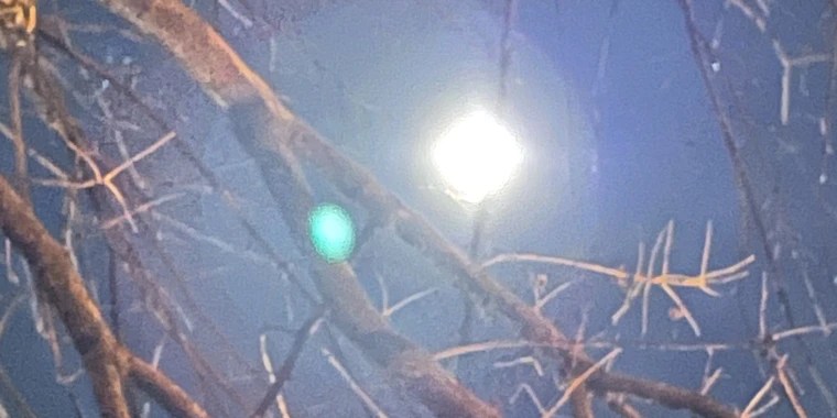 Lunar Brat OnlyFans | @lunarbrat review (Leaks, Videos, Nudes)