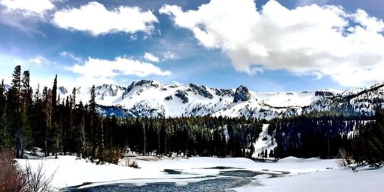 Maestro Claudio OnlyFans | @maestroclaudio review (Leaks, Videos, Nudes)