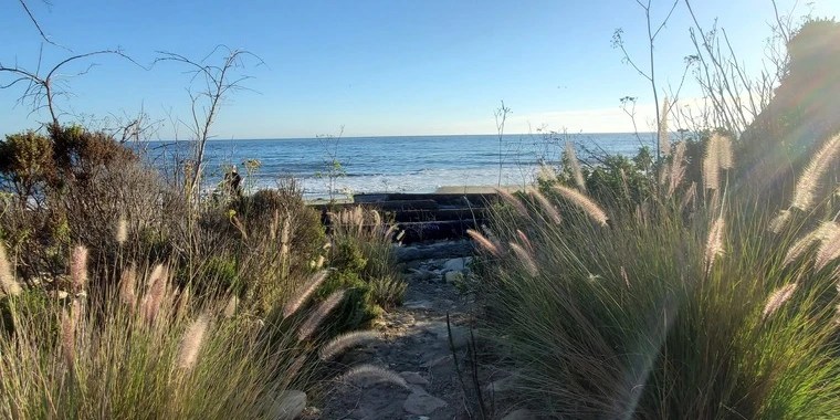 Manson OnlyFans | @mansonthekit review (Leaks, Videos, Nudes)