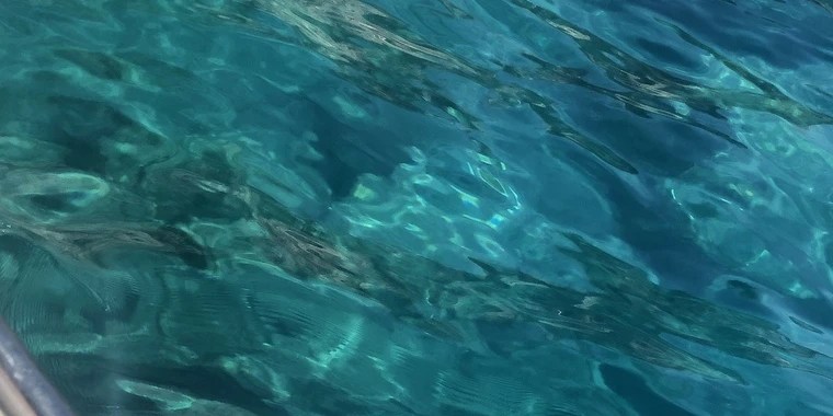 Meg OnlyFans | @megcxx review (Leaks, Videos, Nudes)