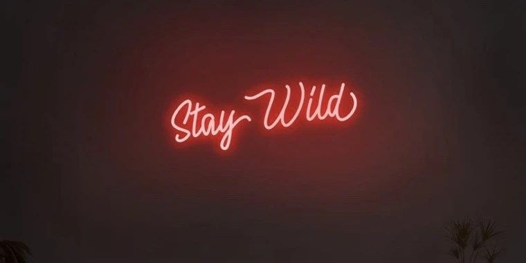 Meggy Wap OnlyFans | @meggywap review (Leaks, Videos, Nudes)