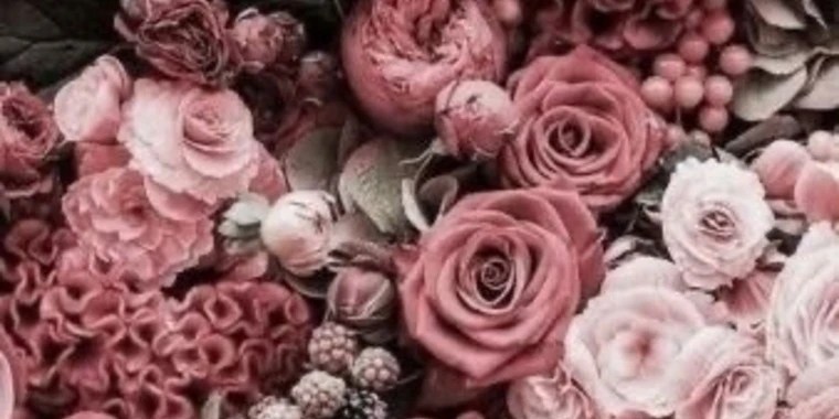 Melinda OnlyFans | @melindasheets review (Leaks, Videos, Nudes)