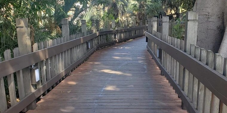 Meredith OnlyFans | @meredith_doll review (Leaks, Videos, Nudes)