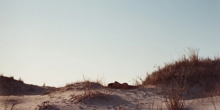 meredith OnlyFans | @mermermeredith review (Leaks, Videos, Nudes)