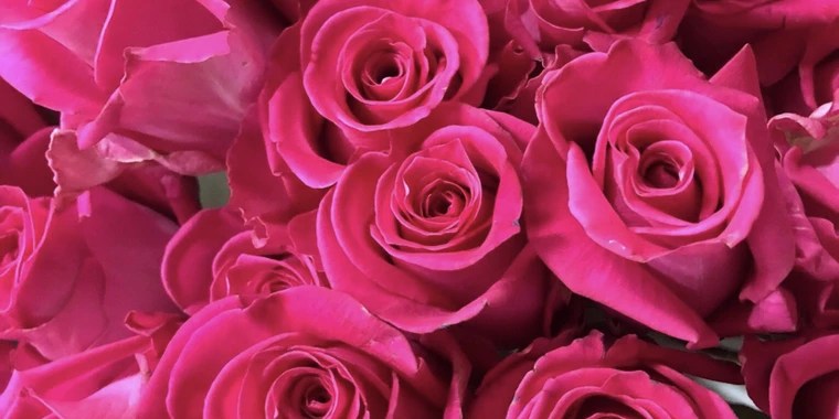 Michy OnlyFans | @michyyyyofficial review (Leaks, Videos, Nudes)