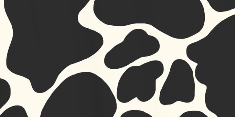 mikayla bandy OnlyFans | @mikaylaa.bandyy review (Leaks, Videos, Nudes)