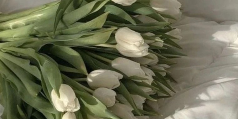 Mishka Bendová OnlyFans | @mishkab review (Leaks, Videos, Nudes)