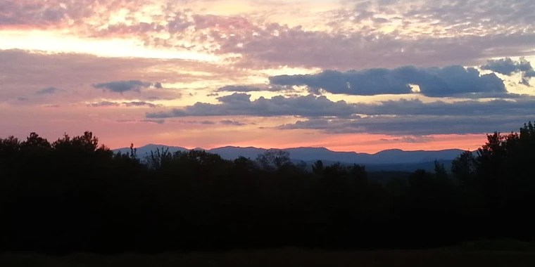 Mysterious Miss OnlyFans | @mysterious_miss review (Leaks, Videos, Nudes)