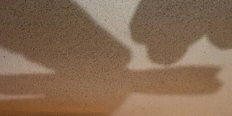 Moni OnlyFans | @nqvmonii review (Leaks, Videos, Nudes)