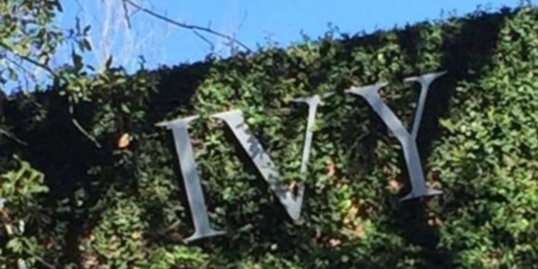 the only Ivy OnlyFans | @official_ivy review (Leaks, Videos, Nudes)