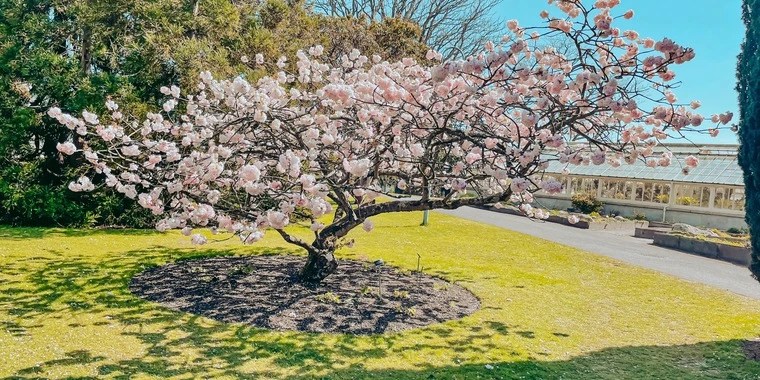 Linda OnlyFans | @ohhmommy review (Leaks, Videos, Nudes)