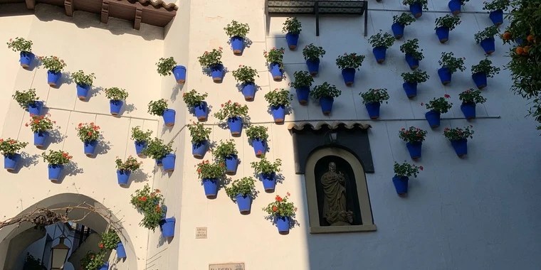 Olive OnlyFans | @olive369 review (Leaks, Videos, Nudes)