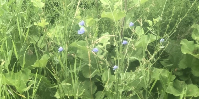 Ollie OnlyFans | @olliehottie review (Leaks, Videos, Nudes)