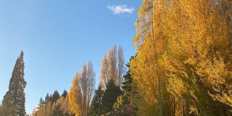 Seraphine OnlyFans | @onlyseraphine review (Leaks, Videos, Nudes)