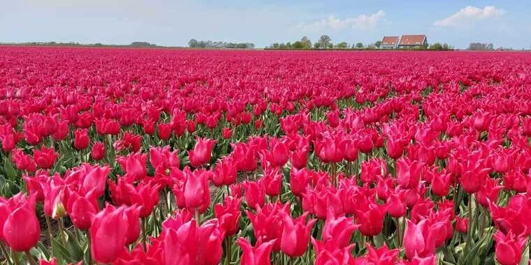 Paulita OnlyFans | @paulitamooie review (Leaks, Videos, Nudes)