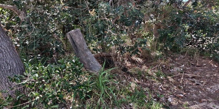 Peachy OnlyFans | @peachfuzz18 review (Leaks, Videos, Nudes)