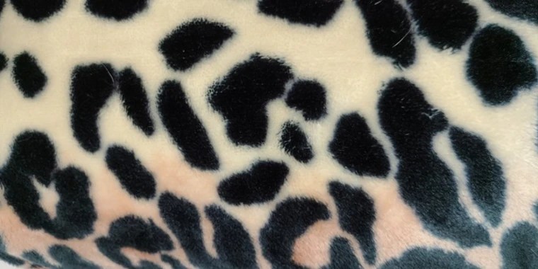 PeachyPeach OnlyFans | @peachypeachxoxo review (Leaks, Videos, Nudes)