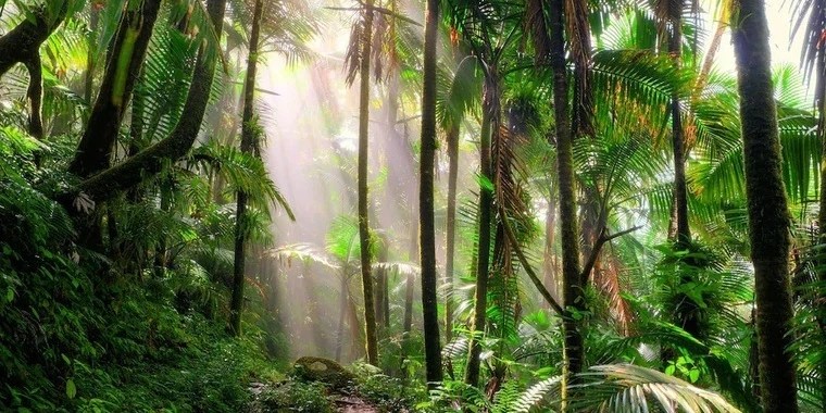 Tarzan OnlyFans | @playwithtarzan review (Leaks, Videos, Nudes)