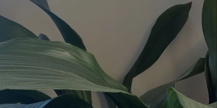 Kat OnlyFans | @prettykat.0 review (Leaks, Videos, Nudes)