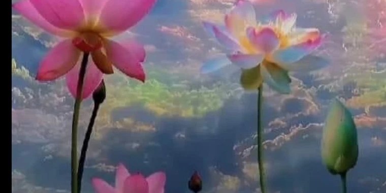 princess peachy OnlyFans | @princesspeachy237 review (Leaks, Videos, Nudes)