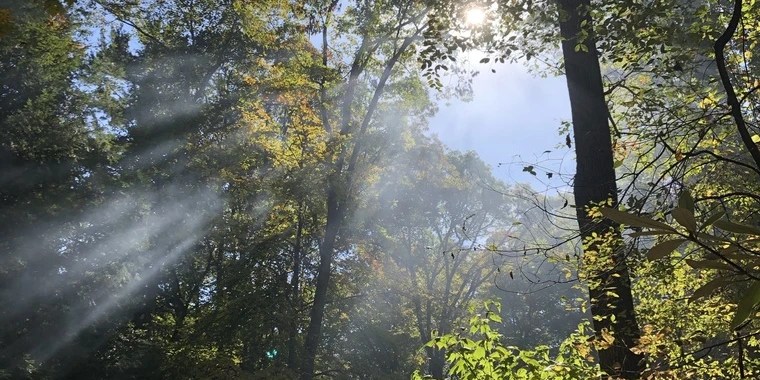 Rory Perrier OnlyFans | @roryperrier review (Leaks, Videos, Nudes)