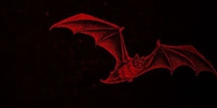 Lourdes OnlyFans | @s.veronnn review (Leaks, Videos, Nudes)